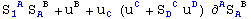 S_1 ^( A) S_A ^( B) + u_ ^B + u_C^  (u_ ^C + S_D ^( C) u_ ^D) &part;_ ^AS_A ^( B)