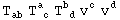 T_ab^&nbsp;&nbsp; T_ ( c)^a  T_ ( d)^b  v_ ^c v_ ^d
