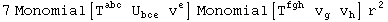 7 Monomial[T_&nbsp;&nbsp;&nbsp;^abc U_bce^&nbsp;&nbsp;&nbsp; v_ ^e] Monomial[T_&nbsp;&nbsp;&nbsp;^fgh v_g^  v_h^ ] r_^^2