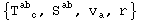 {T_ (&nbsp;&nbsp;c)^ab , S_&nbsp;&nbsp;^ab, v_a^ , r_^}